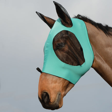 #colour_turquoise-black